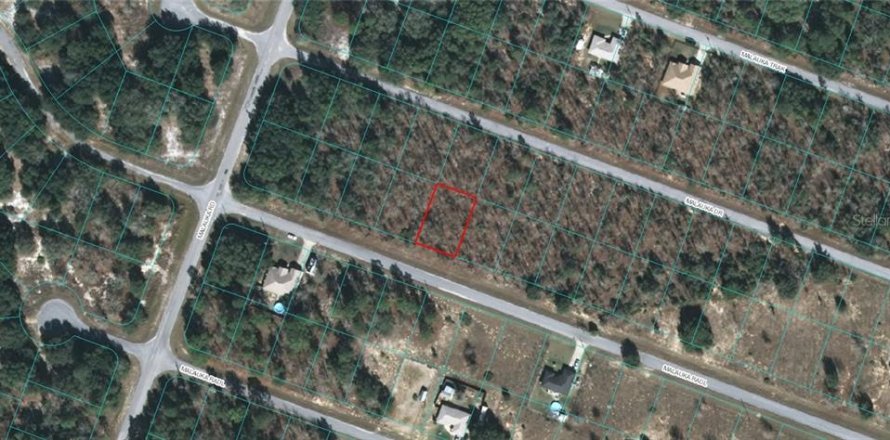 Land in Ocklawaha, Florida № 2164695