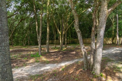 Terrain à vendre à Bronson, Floride № 2234269 - photo 4