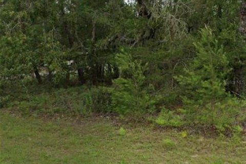 Terreno en Ocala, Florida № 2099576
