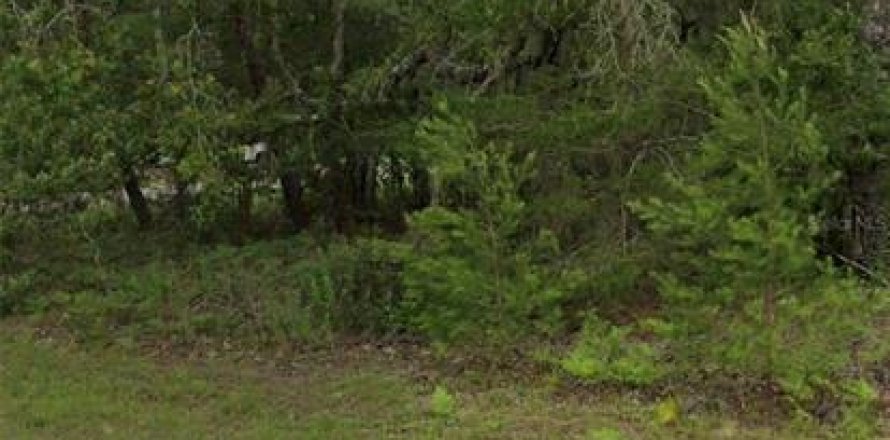 Terrain à Ocala, Floride № 2099576