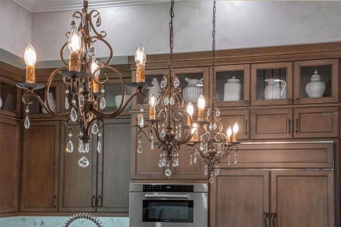 House in Parrish, Florida 3 bedrooms, 383.41 sq.m. № 2151103 - photo 20