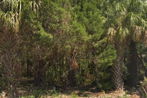 Land in Homosassa, Florida № 2161378