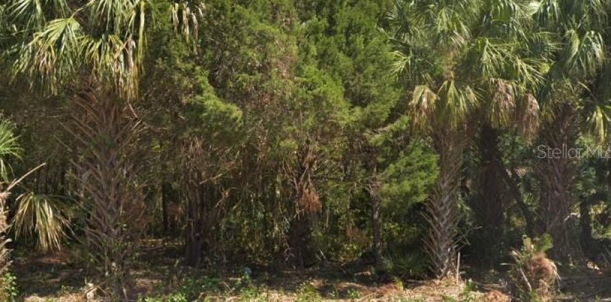Land in Homosassa, Florida № 2161378
