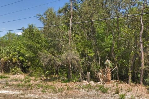Land in Homosassa, Florida № 2161378 - photo 2