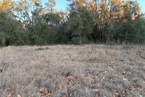 Terrain à vendre à Astatula, Floride № 2215959 - photo 3