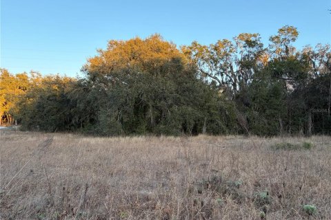 Terrain à vendre à Astatula, Floride № 2215959 - photo 4