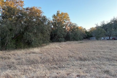 Terrain à vendre à Astatula, Floride № 2215959 - photo 5