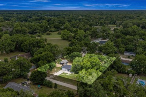 Villa ou maison à vendre à Summerfield, Floride: 3 chambres № 2404465 - photo 2
