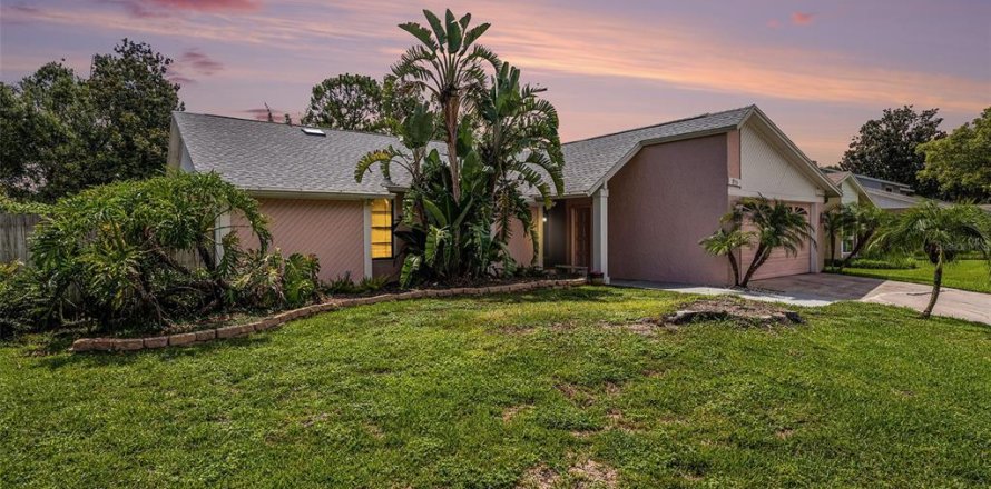 House in Tampa, Florida 3 bedrooms, 170.66 sq.m. № 1798127