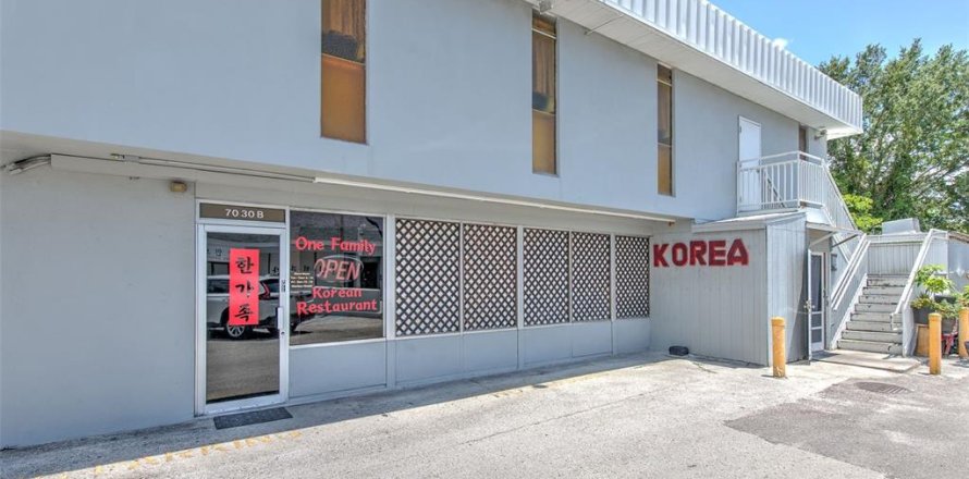 Commercial property in Tampa, Florida № 2226879
