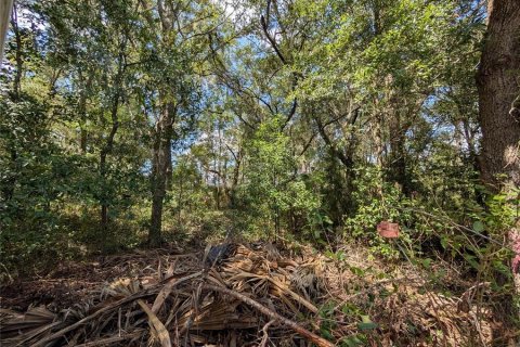 Land in Dunnellon, Florida № 2391223 - photo 3
