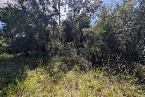 Land in Dunnellon, Florida № 2391223 - photo 6