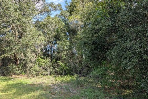 Land in Dunnellon, Florida № 2391223