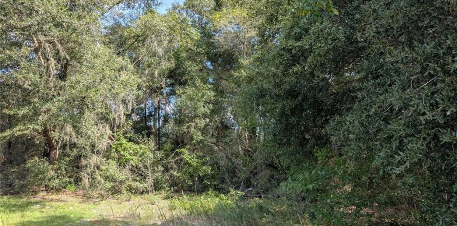 Land in Dunnellon, Florida № 2391223
