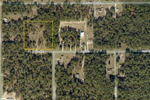 Terrain à Dunnellon, Floride № 2330520