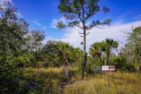 Terreno en venta en Punta Gorda, Florida № 1533922 - foto 12
