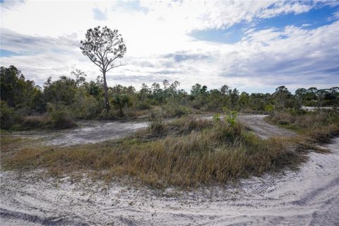 Terreno en venta en Punta Gorda, Florida № 1533922 - foto 4