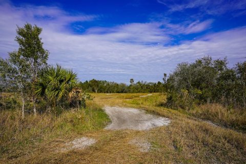 Terreno en venta en Punta Gorda, Florida № 1533922 - foto 10
