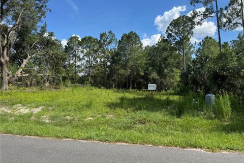 Terreno en venta en DeLand, Florida № 1795749 - foto 1