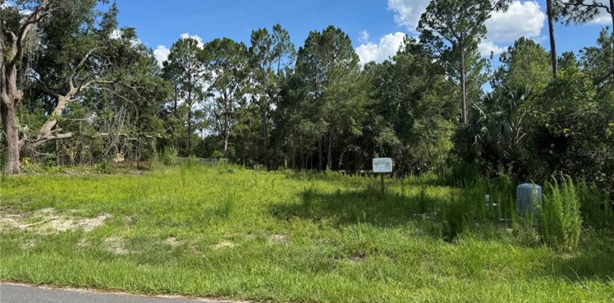 Terreno en DeLand, Florida № 1795749