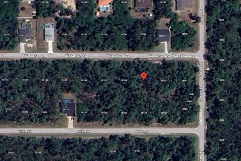 Land in Port Charlotte, Florida № 2164520