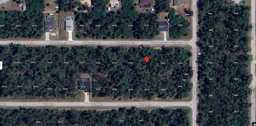 Land in Port Charlotte, Florida № 2164520