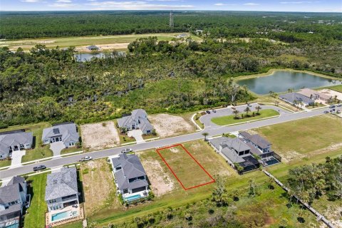 Land in Flagler Beach, Florida № 2308877 - photo 7