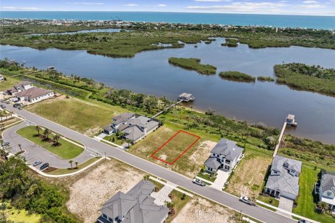 Land in Flagler Beach, Florida № 2308877 - photo 5