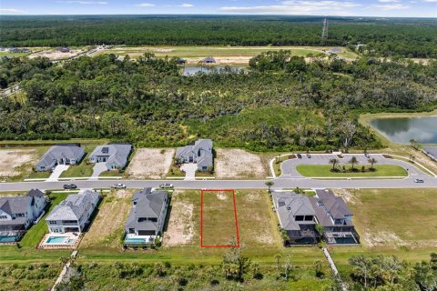 Land in Flagler Beach, Florida № 2308877 - photo 8