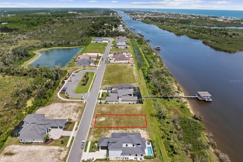 Land in Flagler Beach, Florida № 2308877 - photo 6