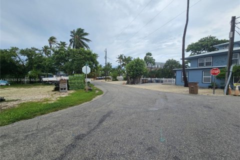 Terrain à vendre à Marathon, Floride № 1963932 - photo 21