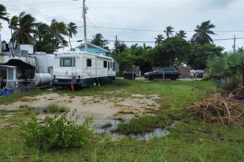 Terrain à vendre à Marathon, Floride № 1963932 - photo 11