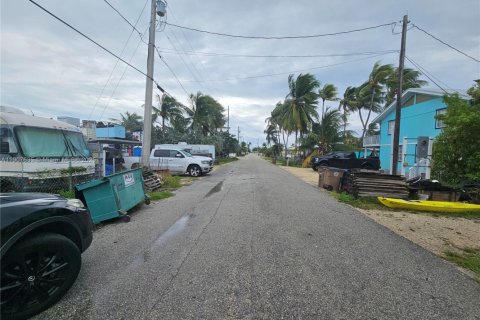 Terrain à vendre à Marathon, Floride № 1963932 - photo 18