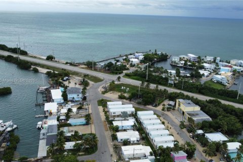 Terrain à vendre à Marathon, Floride № 1963932 - photo 22