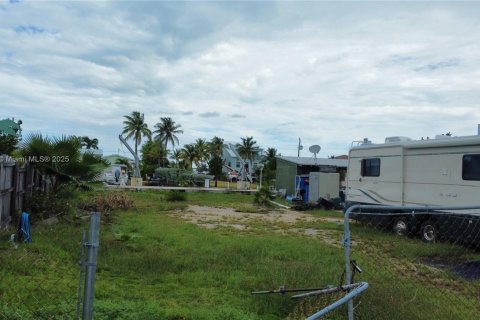 Terrain à vendre à Marathon, Floride № 1963932 - photo 2