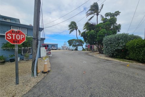 Terrain à vendre à Marathon, Floride № 1963932 - photo 20