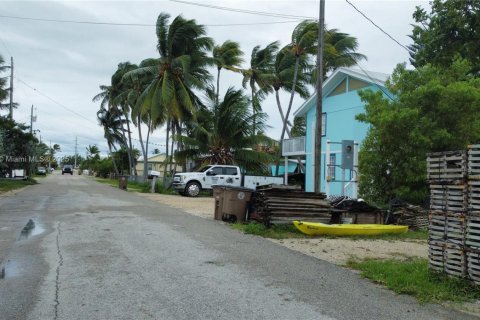 Terrain à vendre à Marathon, Floride № 1963932 - photo 3