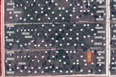 Land in Interlachen, Florida № 2223866 - photo 2