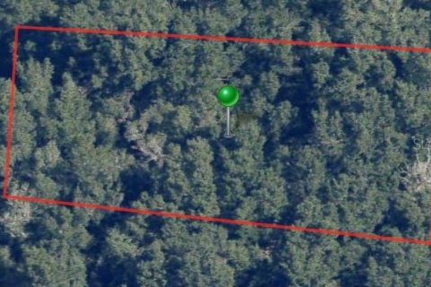 Land in Citrus Springs, Florida № 2223962 - photo 2