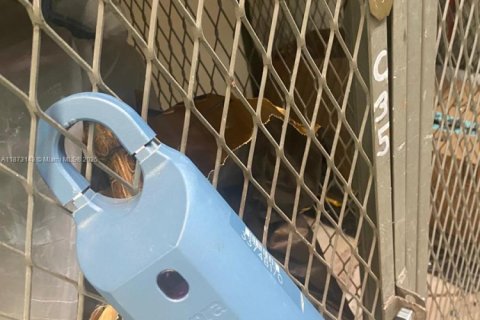 Condominio en alquiler en Hallandale Beach, Florida, 1 dormitorio, 99.87 m2 № 1897899 - foto 30