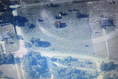 Land in Summerfield, Florida № 2125688 - photo 3