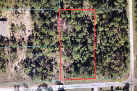 Land in Ocala, Florida № 1673843 - photo 1
