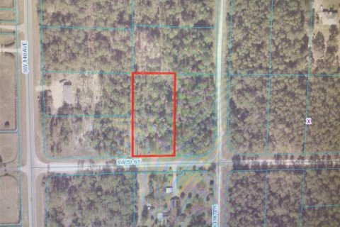 Land in Ocala, Florida № 1673843 - photo 3