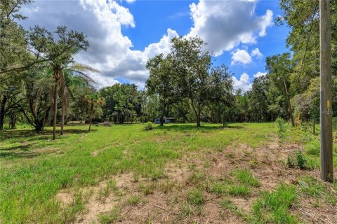 Terrain à vendre à Astatula, Floride № 2373064 - photo 4