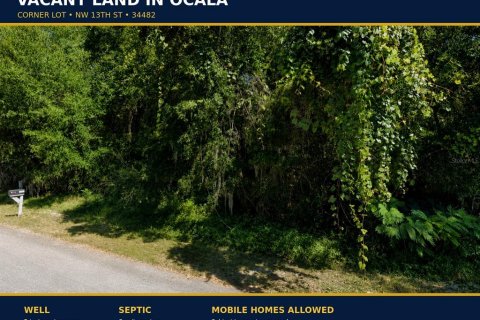 Land in Ocala, Florida № 2198352