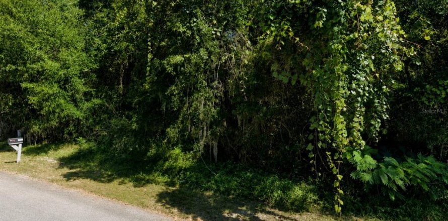 Terrain à Ocala, Floride № 2198352