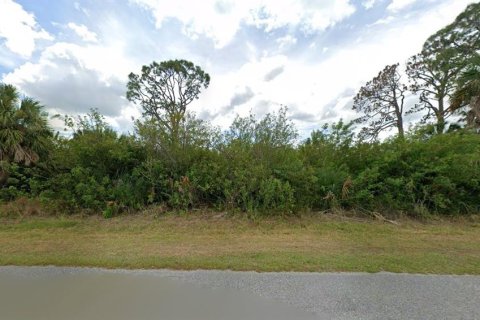 Land in Port Charlotte, Florida № 2158978 - photo 3