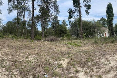Terrain à vendre à Spring Hill, Floride № 1884589 - photo 3