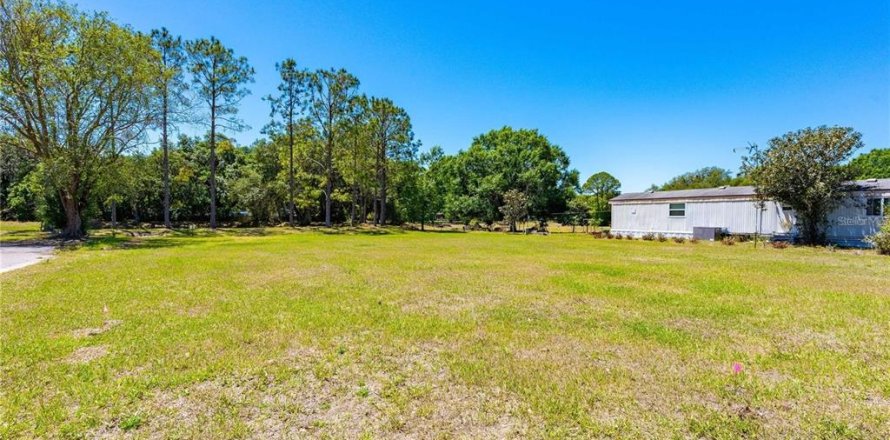 Land in Wesley Chapel, Florida № 2165719