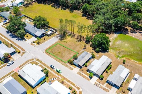 Land in Wesley Chapel, Florida № 2165719 - photo 4